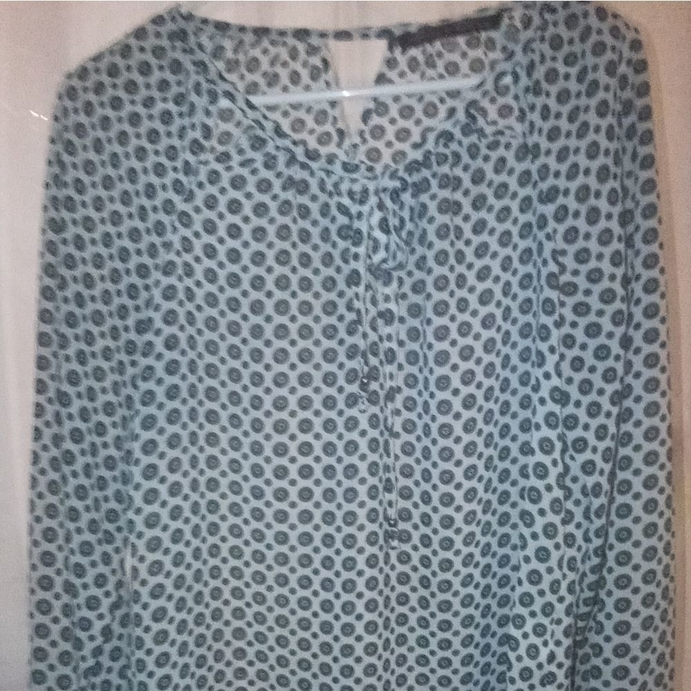 Rose & Olive Sheer Long Sleeve Blouse